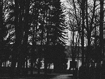 Fotoblog wicherkovax33