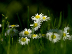 Fotoblog agapych