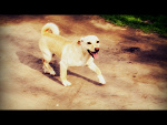 Fotoblog ooofrugox