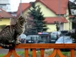 Fotoblog lavondyss