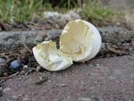 Fotoblog szczesliwiexzakochana