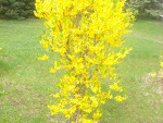 Fotoblog cholololo