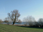 Fotoblog myimpartiallivee