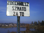 Fotoblog zamotamozalny
