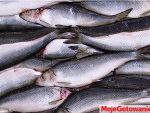 Fotoblog koza11044
