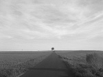Fotoblog pata981