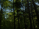 Fotoblog werakochasamasiebie1