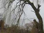 Fotoblog lolciaq