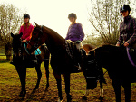 Fotoblog nevada13
