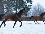 14 kwietnia '12