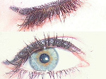 Fotoblog madzii19