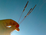 Fotoblog ewsonn