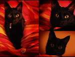 Fotoblog cladia06k