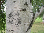 Fotoblog tomek12