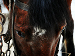 Fotoblog onlyoneswhoknow