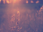Fotoblog mrm4ever