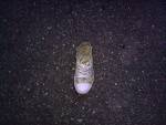 Fotoblog kamilakul