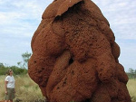 Fotoblog hjfjfjgfj