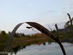 Fotoblog ewgirek25