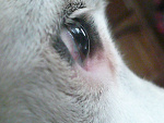 Fotoblog zoltamamba