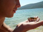 Fotoblog kati2102