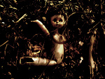 Fotoblog annarchista