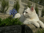 Fotoblog hjhjh