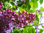 Fotoblog zakazana1