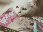 Fotoblog potterword