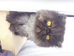 Fotoblog happy4ever