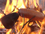 Fotoblog xsterangel