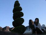 Fotoblog unfortunatelyy