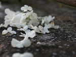 Fotoblog rozmagnetyzowana