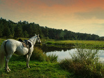 Fotoblog escape2