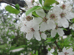 Fotoblog mxy63