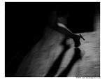 Fotoblog keis96