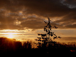 Fotoblog ordinary92
