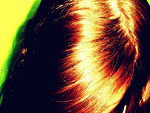 Fotoblog werxyy