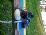 Fotoblog zoozol115