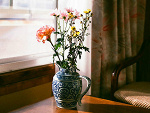 Fotoblog chocolatedark