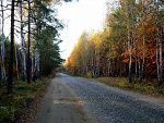 Fotoblog pandaxd