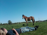 Fotoblog ewcia3232