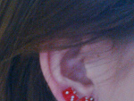Fotoblog trauum