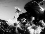 Fotoblog astrro