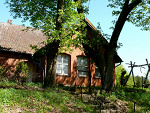 Fotoblog pilevka