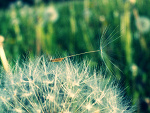 Fotoblog jowita0707
