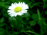 Fotoblog myterritory