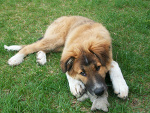 Fotoblog babyblues1990