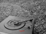Fotoblog rysijas