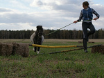 Fotoblog morgana96